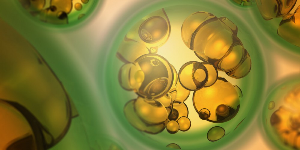 Solayzme Renewable Oil Technology Video