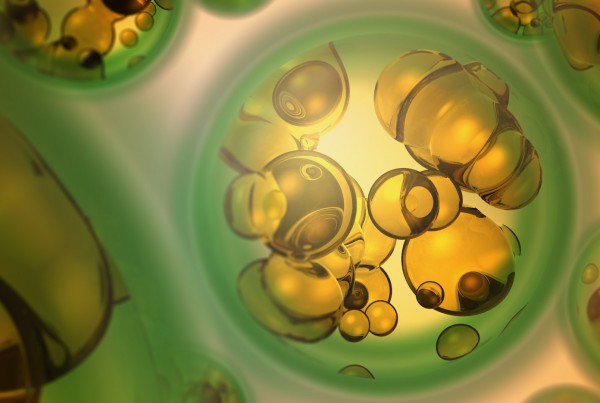 Solayzme Renewable Oil Technology Video