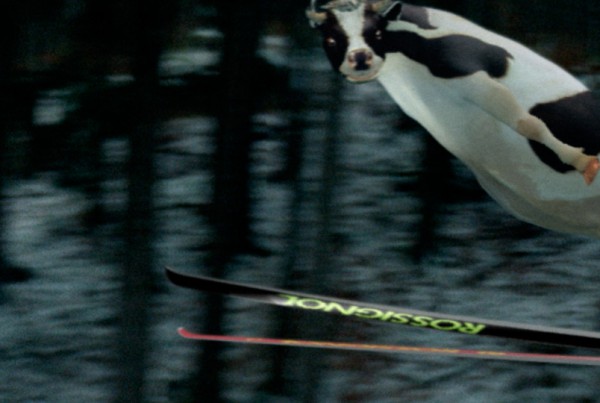 Swiss Milk Skiing Cow Character Animation